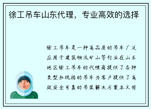 徐工吊车山东代理，专业高效的选择