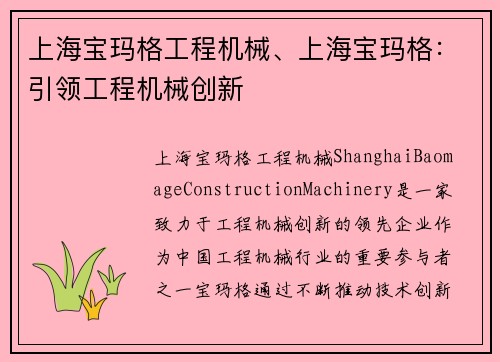 上海宝玛格工程机械、上海宝玛格：引领工程机械创新